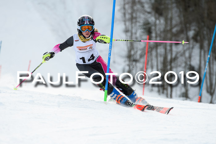 DSV Dt. Schülercup U14 SL 20.01.2019 Slalom