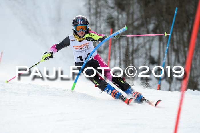 DSV Dt. Schülercup U14 SL 20.01.2019 Slalom