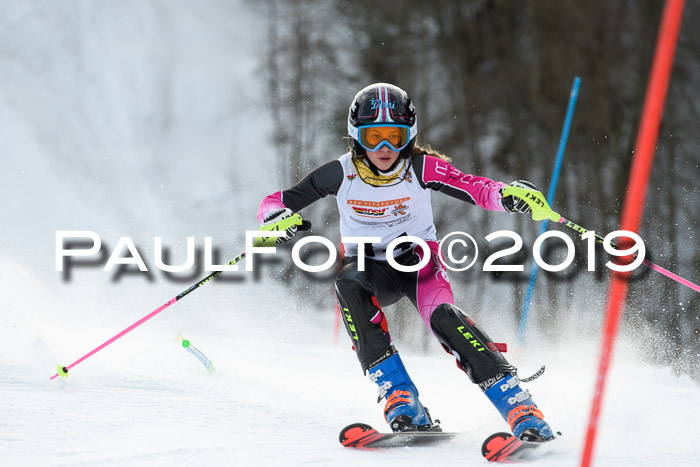 DSV Dt. Schülercup U14 SL 20.01.2019 Slalom