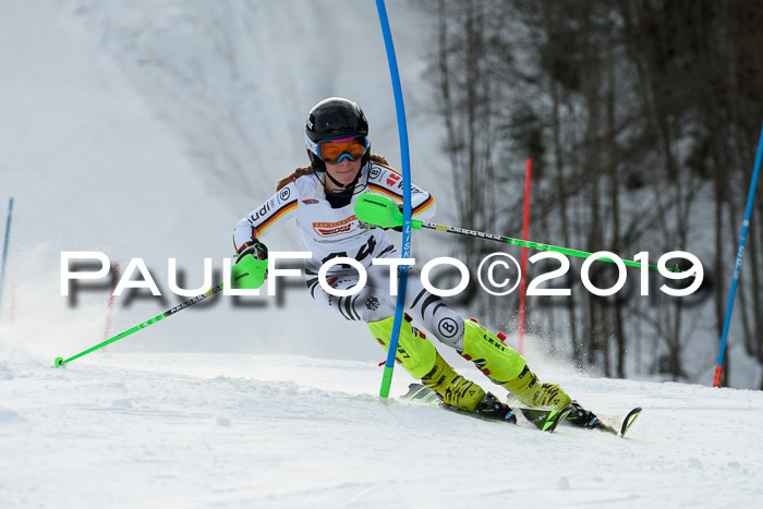 DSV Dt. Schülercup U14 SL 20.01.2019 Slalom