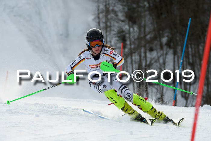 DSV Dt. Schülercup U14 SL 20.01.2019 Slalom