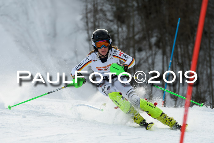 DSV Dt. Schülercup U14 SL 20.01.2019 Slalom