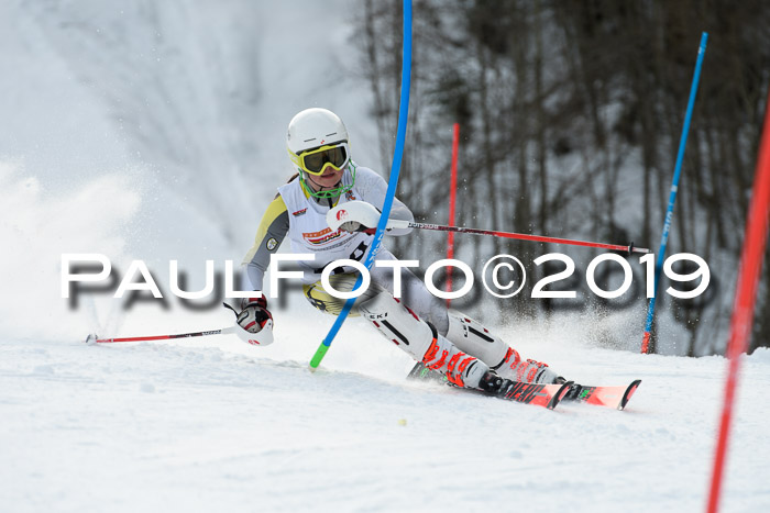 DSV Dt. Schülercup U14 SL 20.01.2019 Slalom