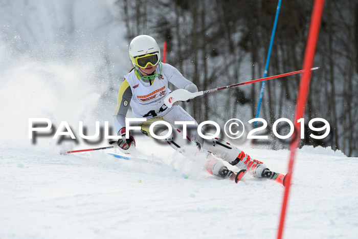 DSV Dt. Schülercup U14 SL 20.01.2019 Slalom