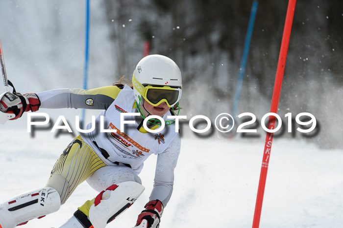 DSV Dt. Schülercup U14 SL 20.01.2019 Slalom