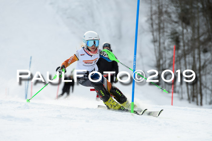 DSV Dt. Schülercup U14 SL 20.01.2019 Slalom