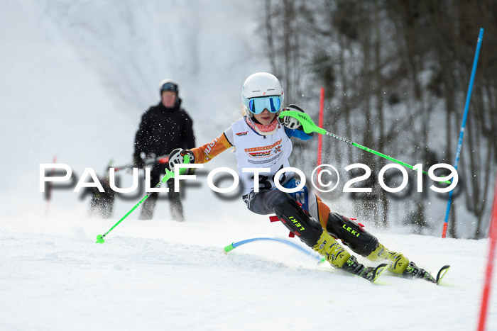 DSV Dt. Schülercup U14 SL 20.01.2019 Slalom