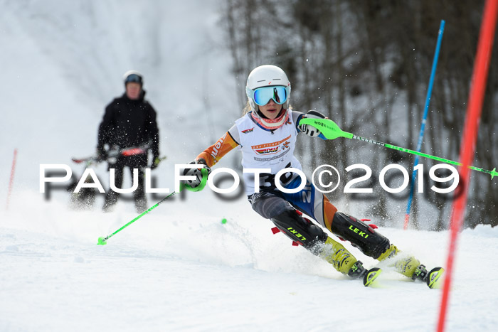DSV Dt. Schülercup U14 SL 20.01.2019 Slalom