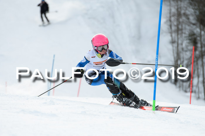 DSV Dt. Schülercup U14 SL 20.01.2019 Slalom