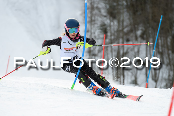DSV Dt. Schülercup U14 SL 20.01.2019 Slalom