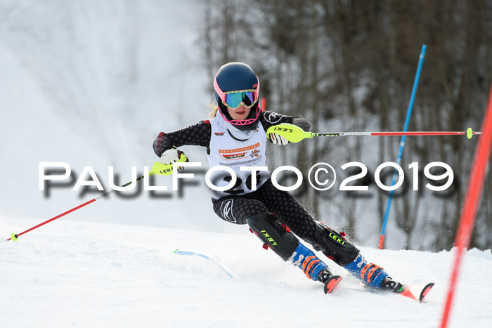 DSV Dt. Schülercup U14 SL 20.01.2019 Slalom