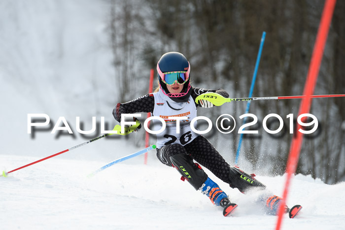 DSV Dt. Schülercup U14 SL 20.01.2019 Slalom