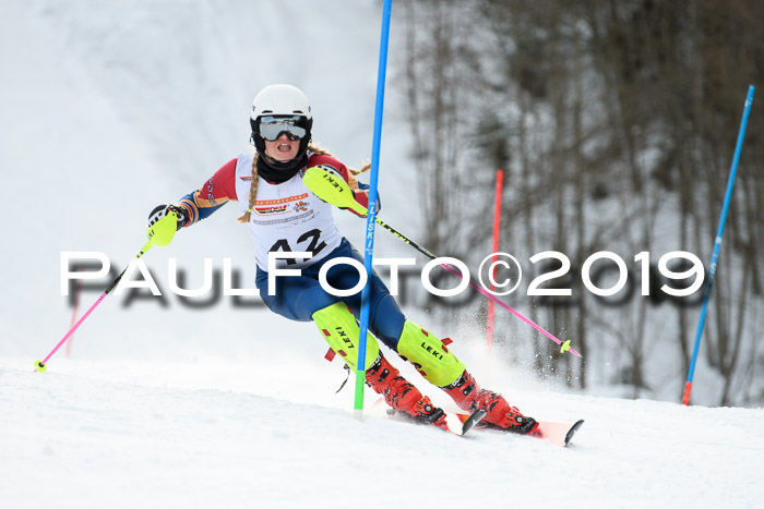 DSV Dt. Schülercup U14 SL 20.01.2019 Slalom