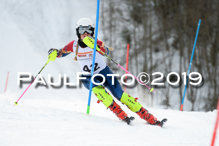 DSV Dt. Schülercup U14 SL 20.01.2019 Slalom