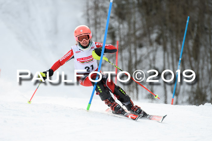 DSV Dt. Schülercup U14 SL 20.01.2019 Slalom