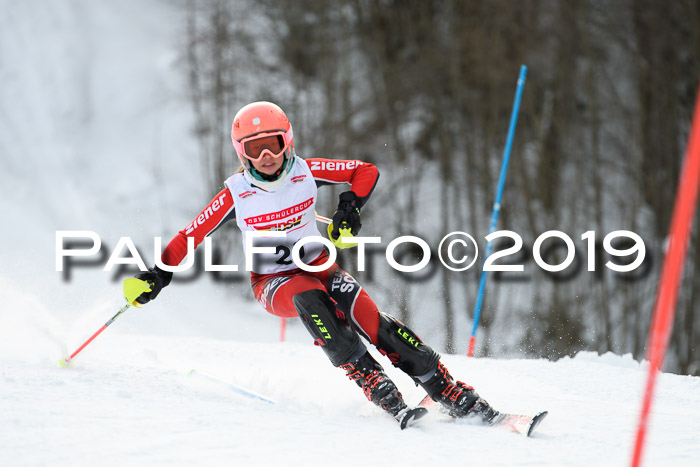 DSV Dt. Schülercup U14 SL 20.01.2019 Slalom