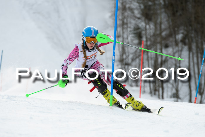 DSV Dt. Schülercup U14 SL 20.01.2019 Slalom