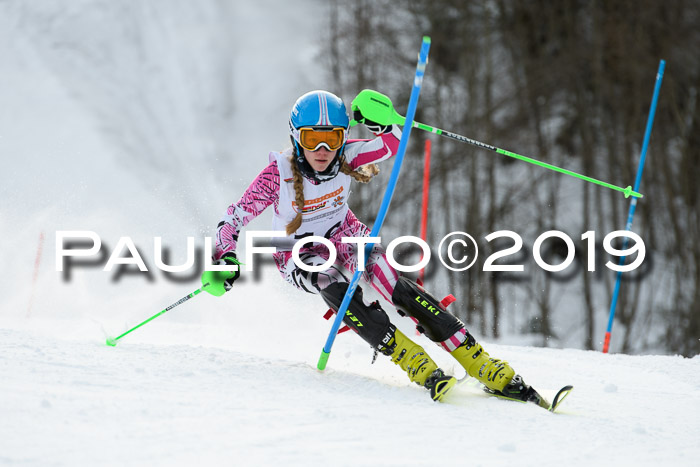 DSV Dt. Schülercup U14 SL 20.01.2019 Slalom