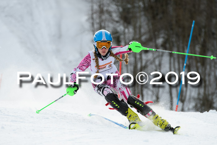 DSV Dt. Schülercup U14 SL 20.01.2019 Slalom
