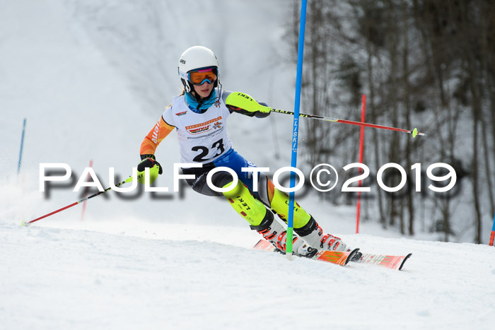 DSV Dt. Schülercup U14 SL 20.01.2019 Slalom