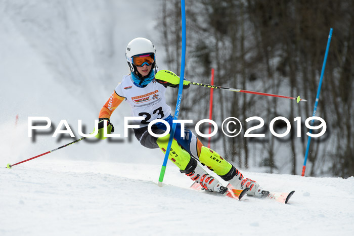 DSV Dt. Schülercup U14 SL 20.01.2019 Slalom
