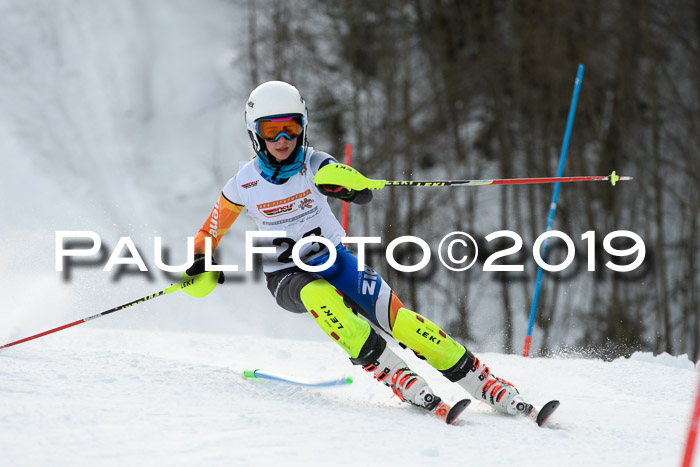 DSV Dt. Schülercup U14 SL 20.01.2019 Slalom