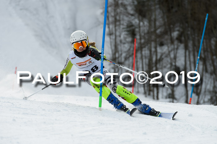 DSV Dt. Schülercup U14 SL 20.01.2019 Slalom