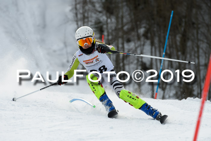 DSV Dt. Schülercup U14 SL 20.01.2019 Slalom