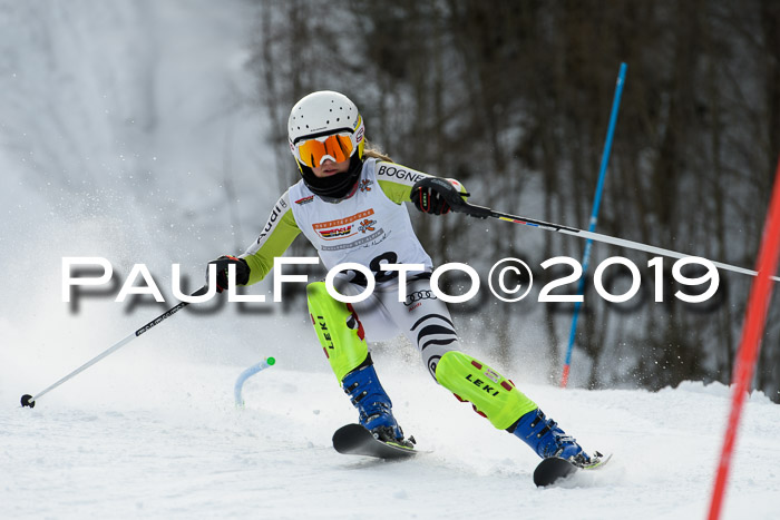 DSV Dt. Schülercup U14 SL 20.01.2019 Slalom