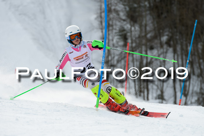 DSV Dt. Schülercup U14 SL 20.01.2019 Slalom