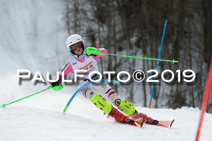 DSV Dt. Schülercup U14 SL 20.01.2019 Slalom