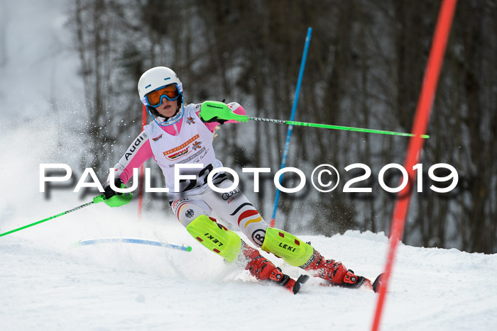 DSV Dt. Schülercup U14 SL 20.01.2019 Slalom