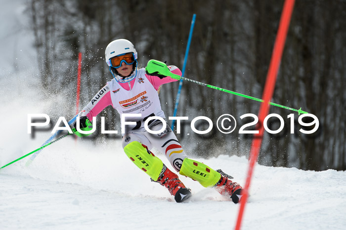 DSV Dt. Schülercup U14 SL 20.01.2019 Slalom