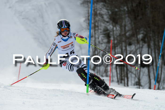 DSV Dt. Schülercup U14 SL 20.01.2019 Slalom