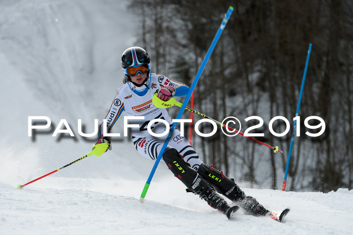 DSV Dt. Schülercup U14 SL 20.01.2019 Slalom