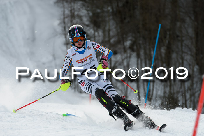 DSV Dt. Schülercup U14 SL 20.01.2019 Slalom