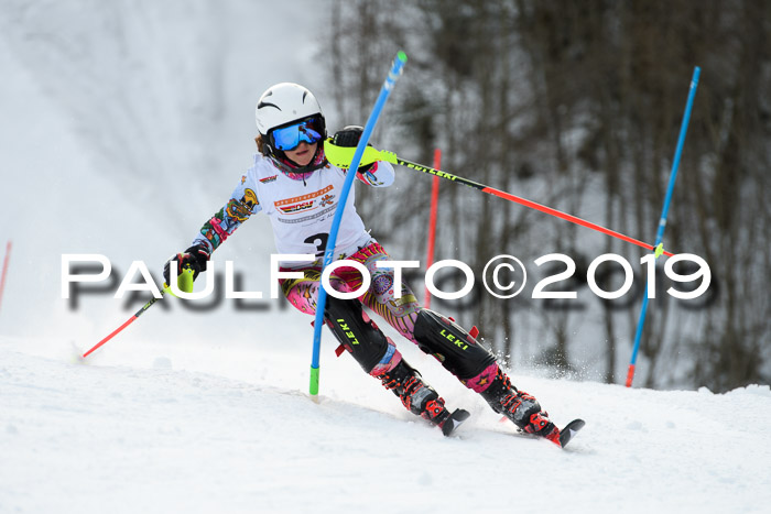 DSV Dt. Schülercup U14 SL 20.01.2019 Slalom