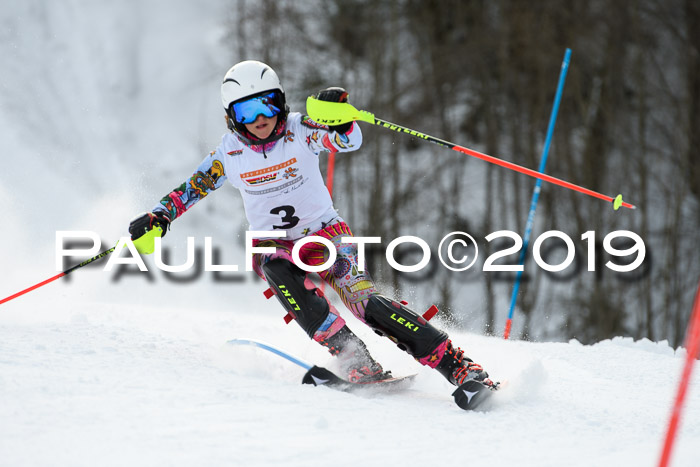 DSV Dt. Schülercup U14 SL 20.01.2019 Slalom