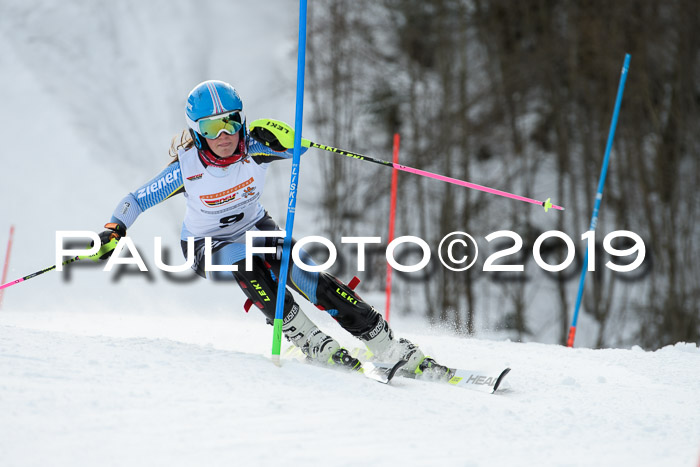 DSV Dt. Schülercup U14 SL 20.01.2019 Slalom