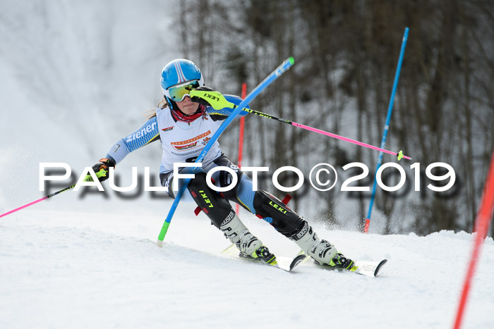 DSV Dt. Schülercup U14 SL 20.01.2019 Slalom
