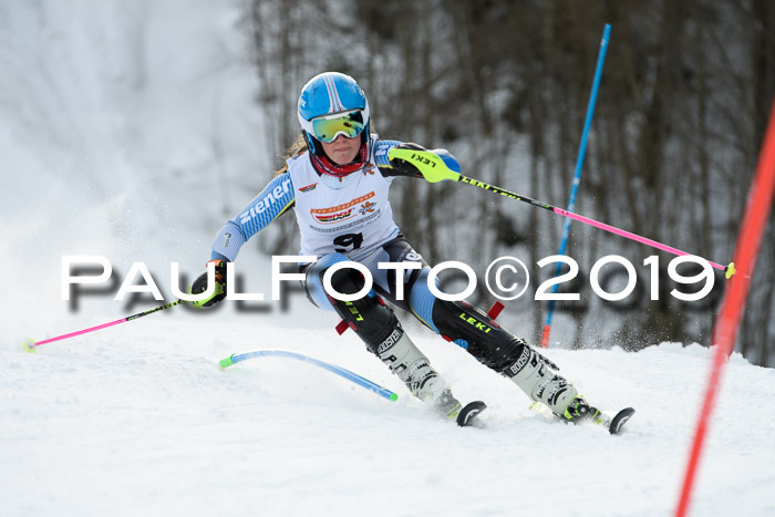 DSV Dt. Schülercup U14 SL 20.01.2019 Slalom