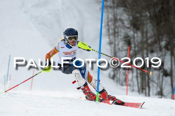 DSV Dt. Schülercup U14 SL 20.01.2019 Slalom