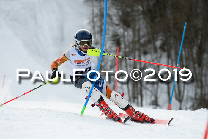 DSV Dt. Schülercup U14 SL 20.01.2019 Slalom