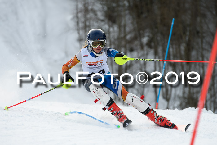 DSV Dt. Schülercup U14 SL 20.01.2019 Slalom