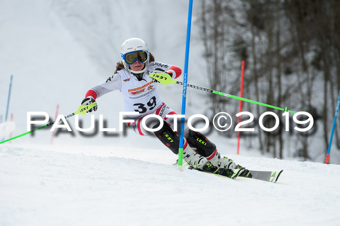 DSV Dt. Schülercup U14 SL 20.01.2019 Slalom