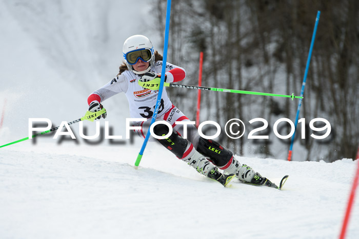 DSV Dt. Schülercup U14 SL 20.01.2019 Slalom