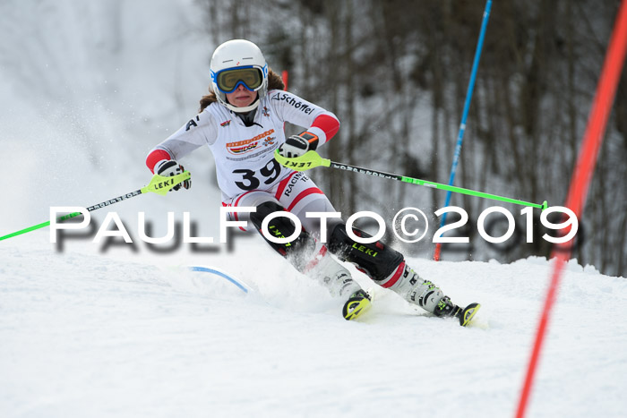 DSV Dt. Schülercup U14 SL 20.01.2019 Slalom