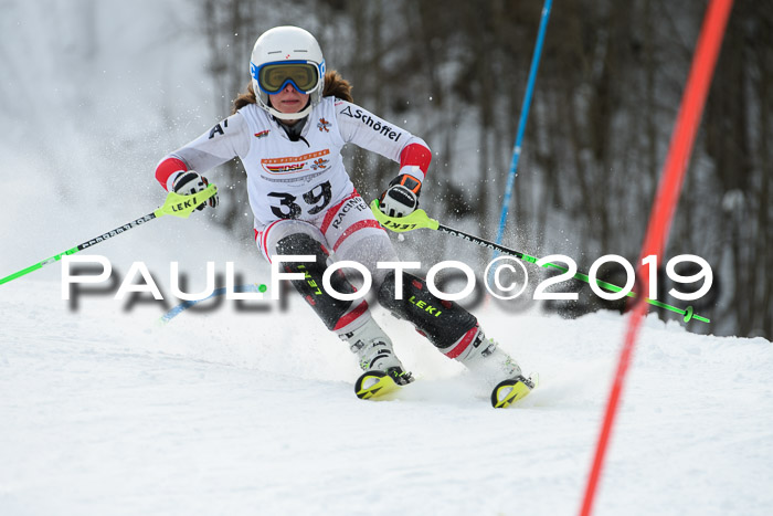 DSV Dt. Schülercup U14 SL 20.01.2019 Slalom