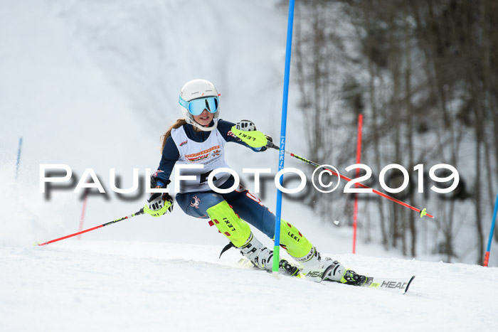 DSV Dt. Schülercup U14 SL 20.01.2019 Slalom