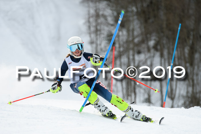 DSV Dt. Schülercup U14 SL 20.01.2019 Slalom